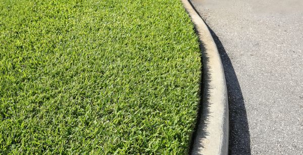Cost of Street Curb Repair in Lynchburg